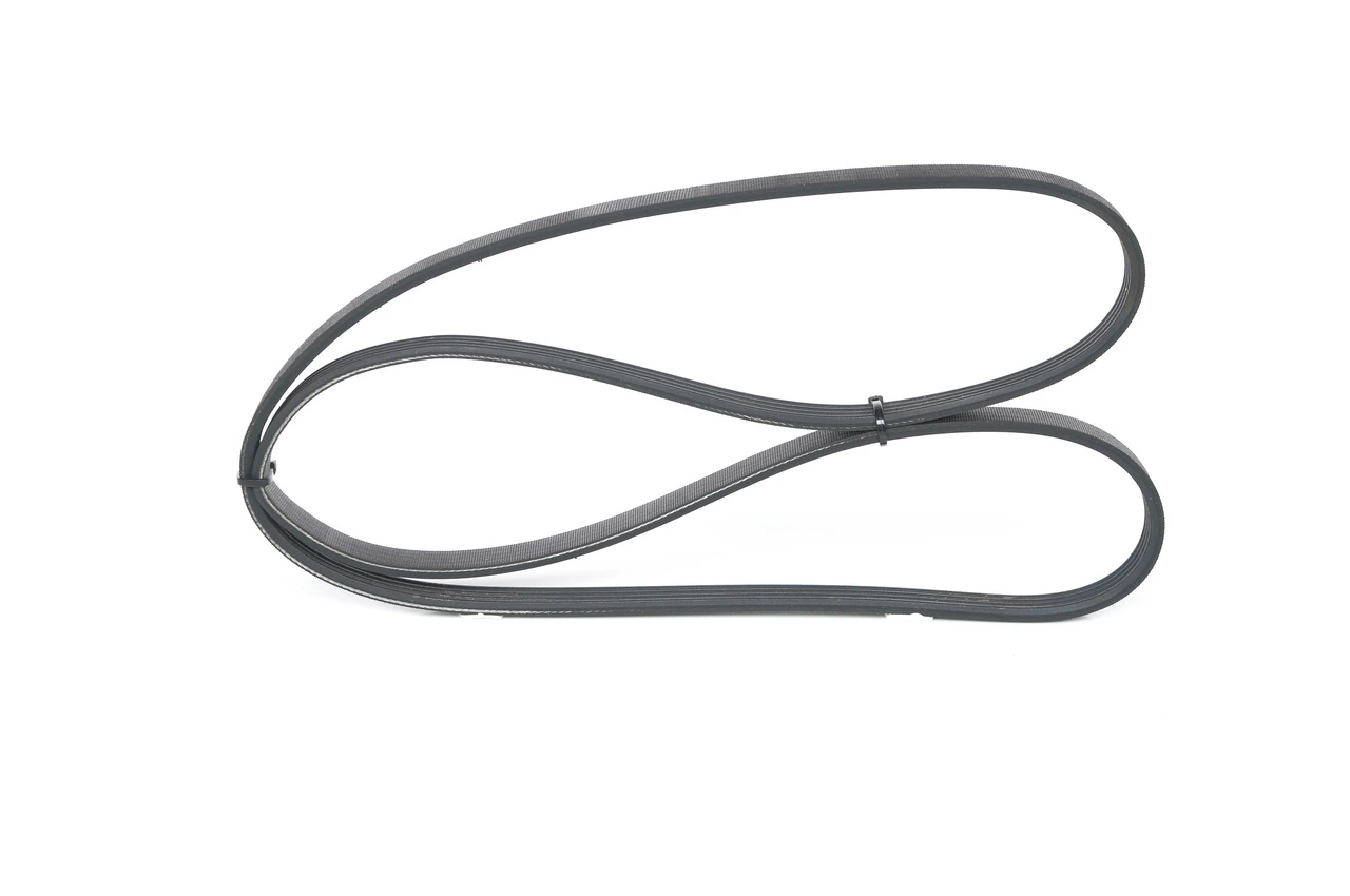 V-ribbed Belt