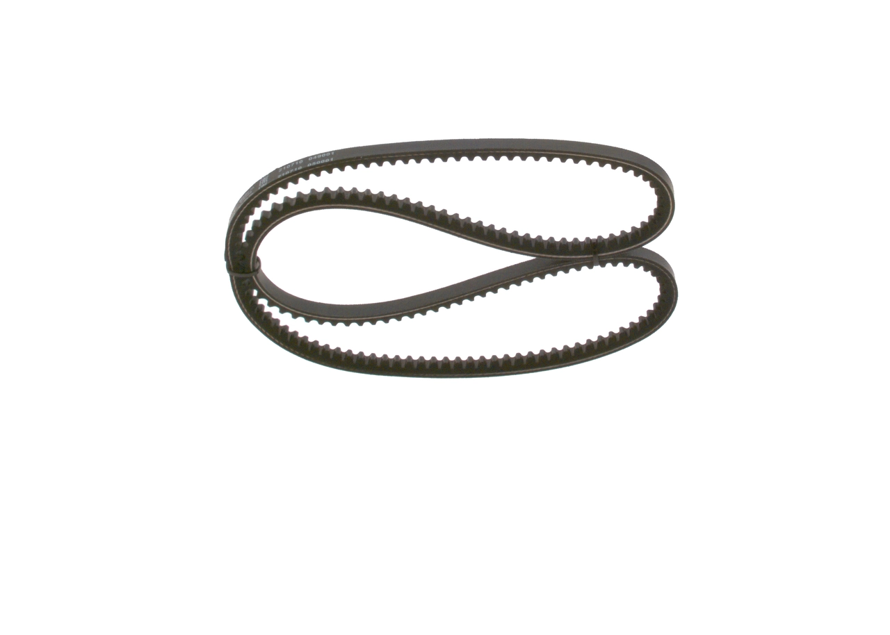 V-Belt