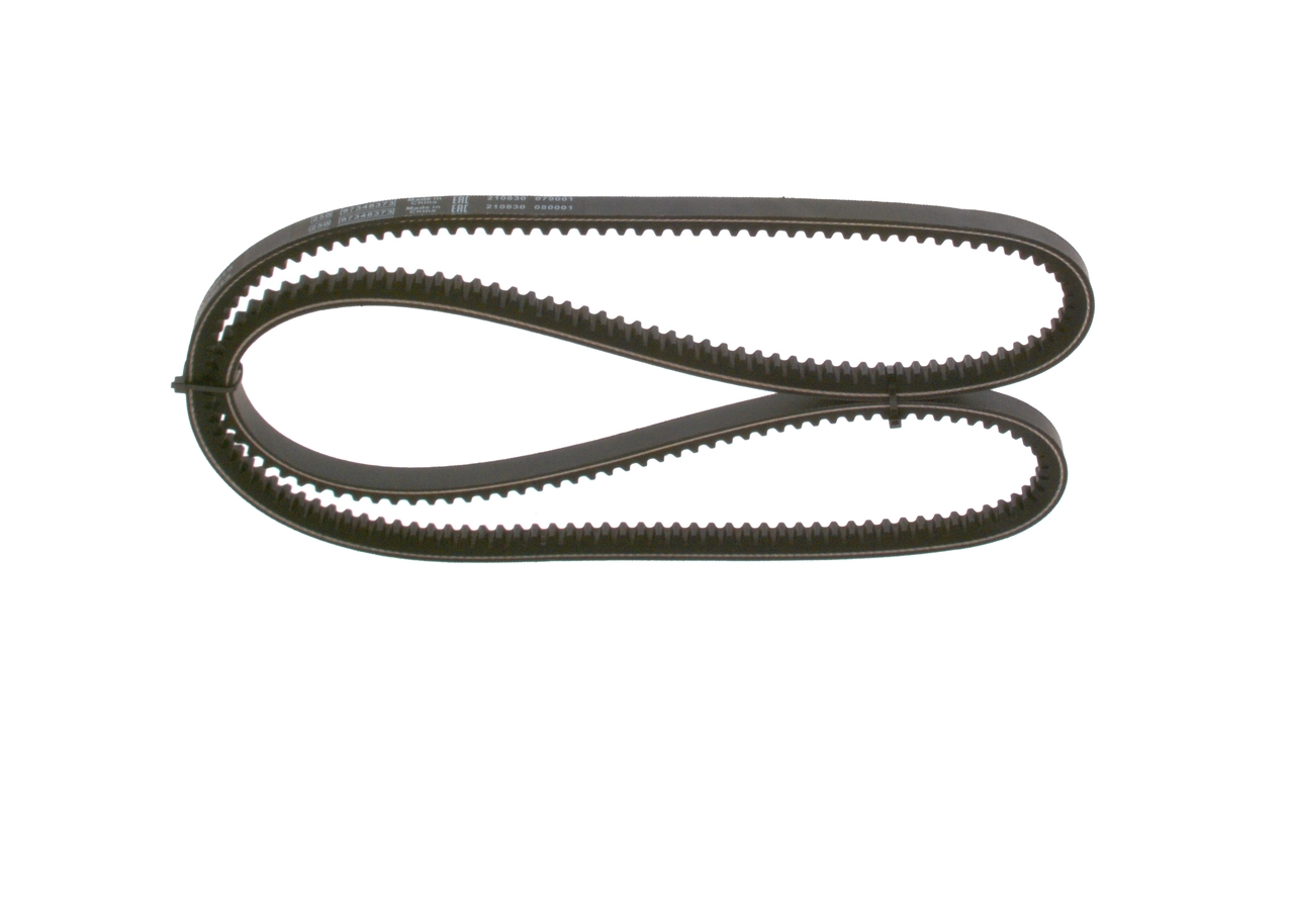 V-Belt