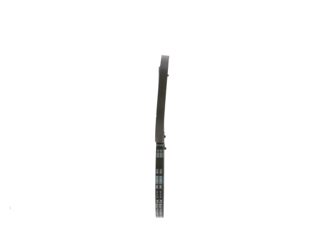 V-Belt
