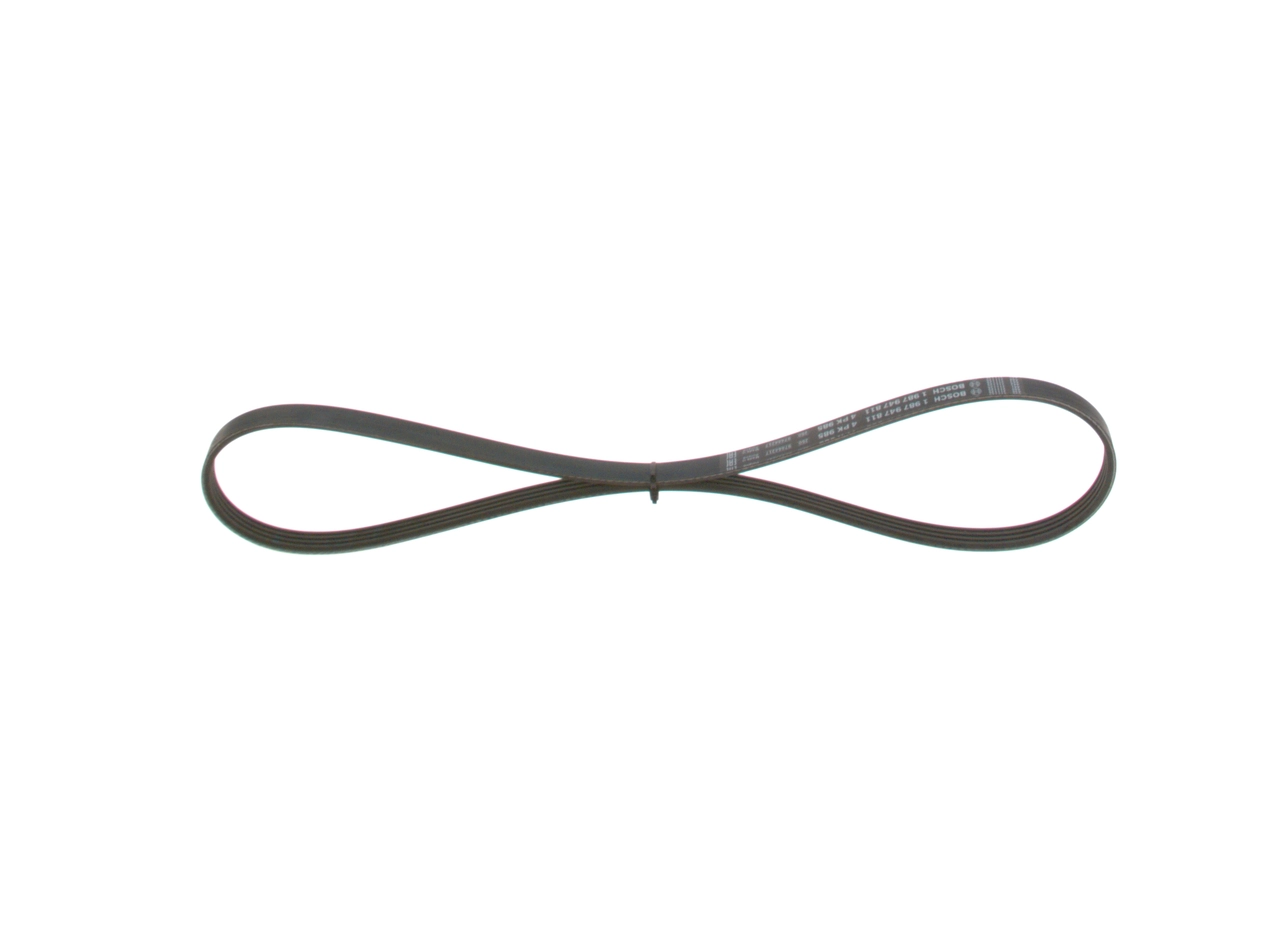 V-ribbed Belt