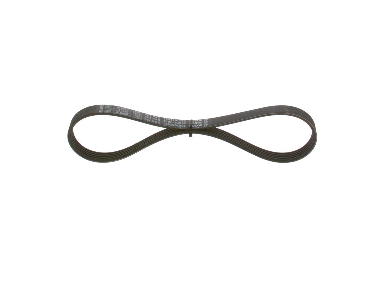 V-ribbed Belt
