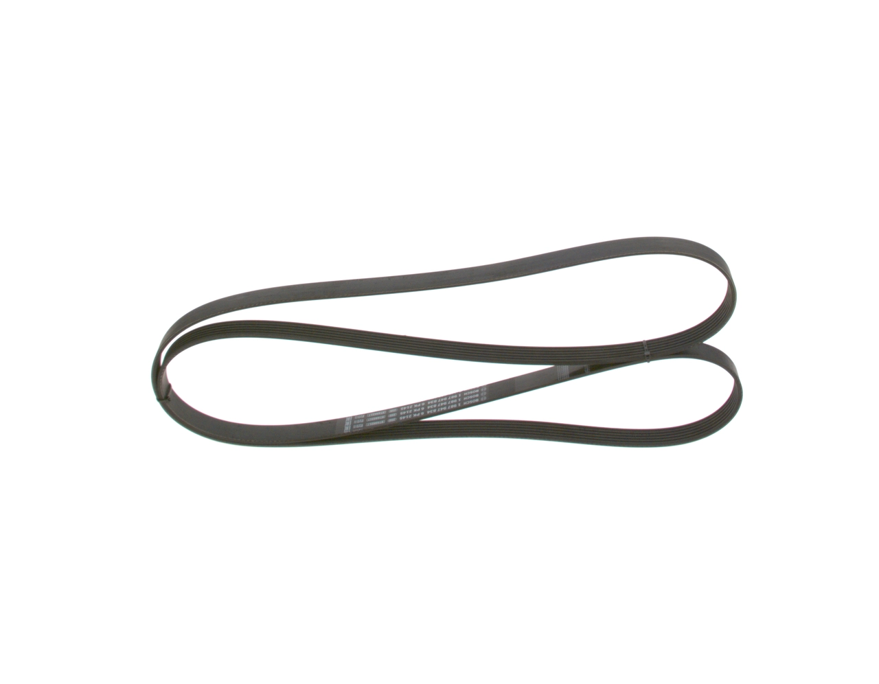 V-ribbed Belt