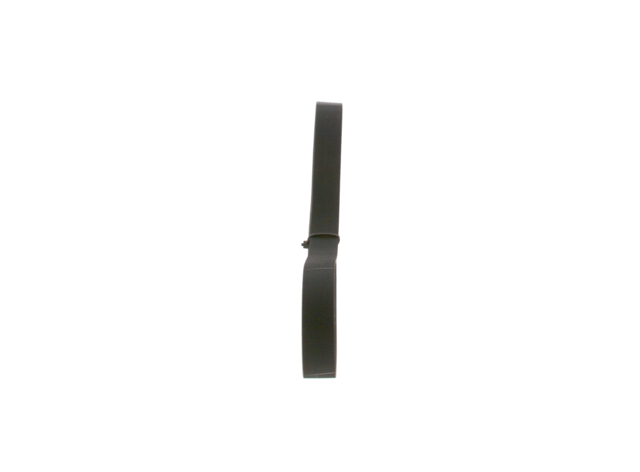 V-ribbed Belt