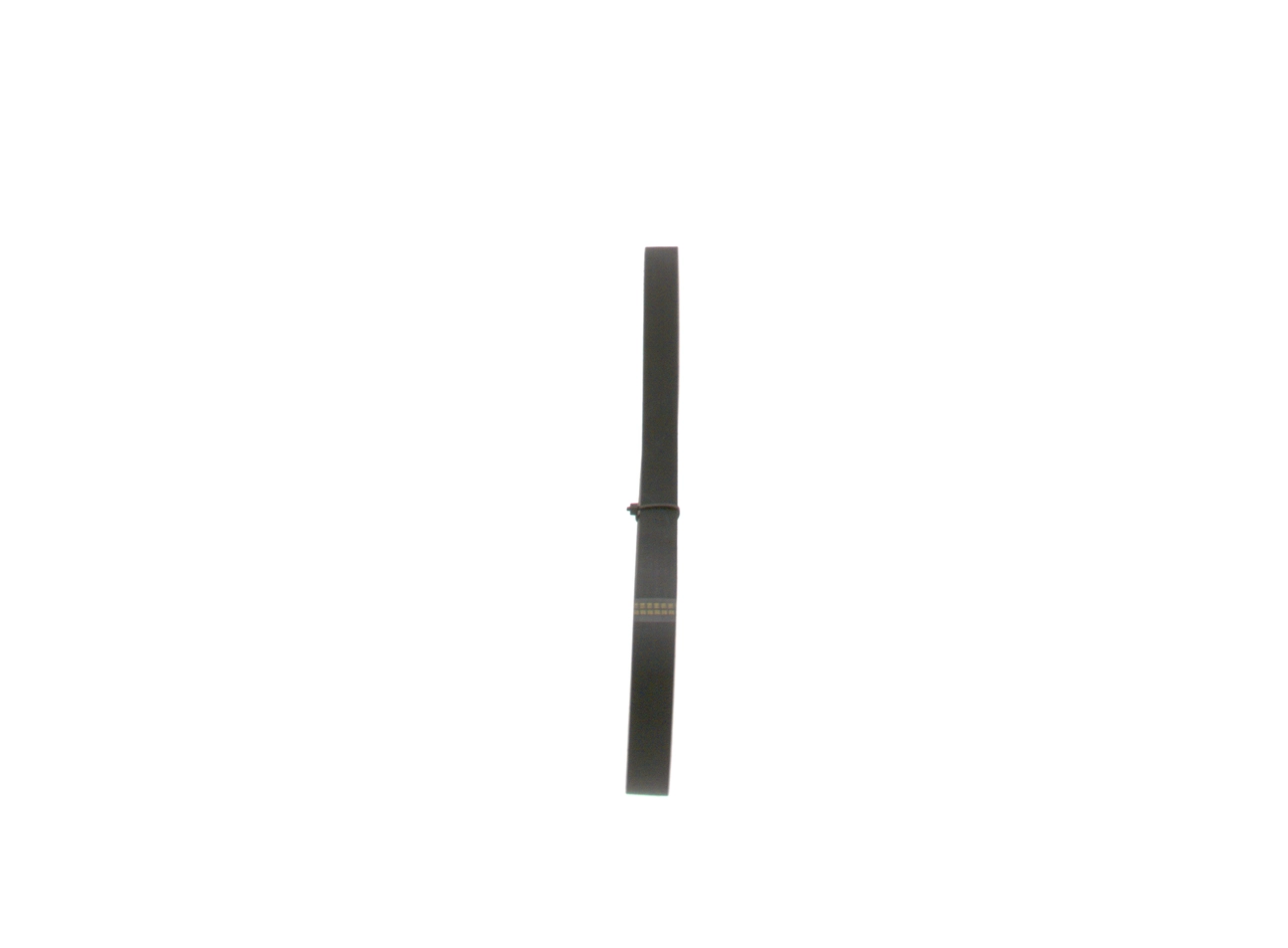 V-ribbed Belt