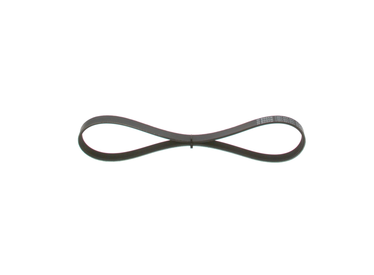 V-ribbed Belt