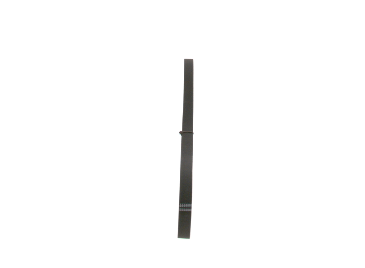 V-ribbed Belt