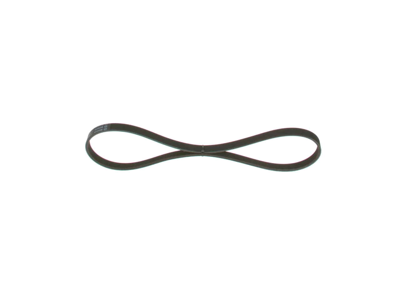V-ribbed Belt