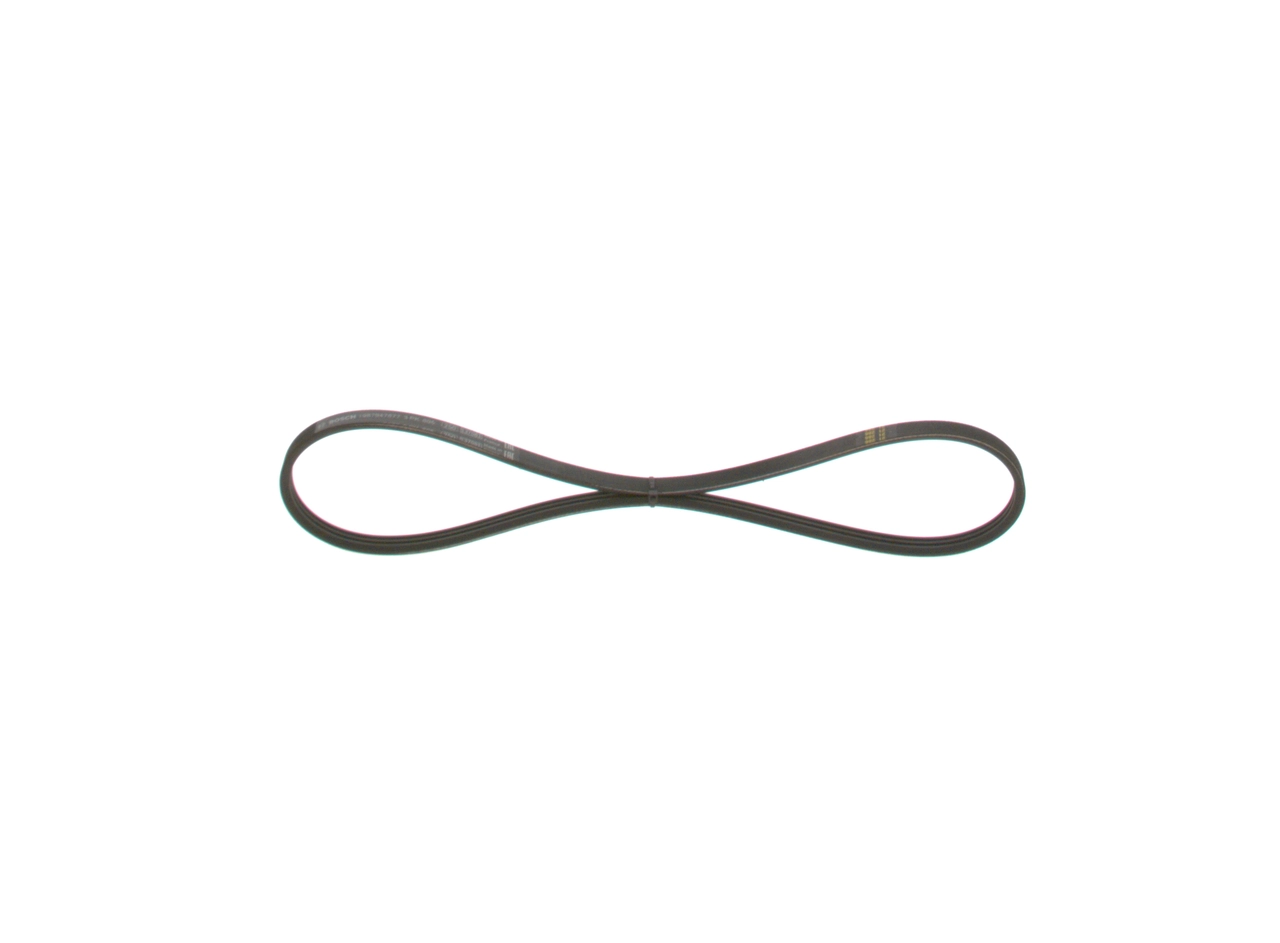 V-ribbed Belt