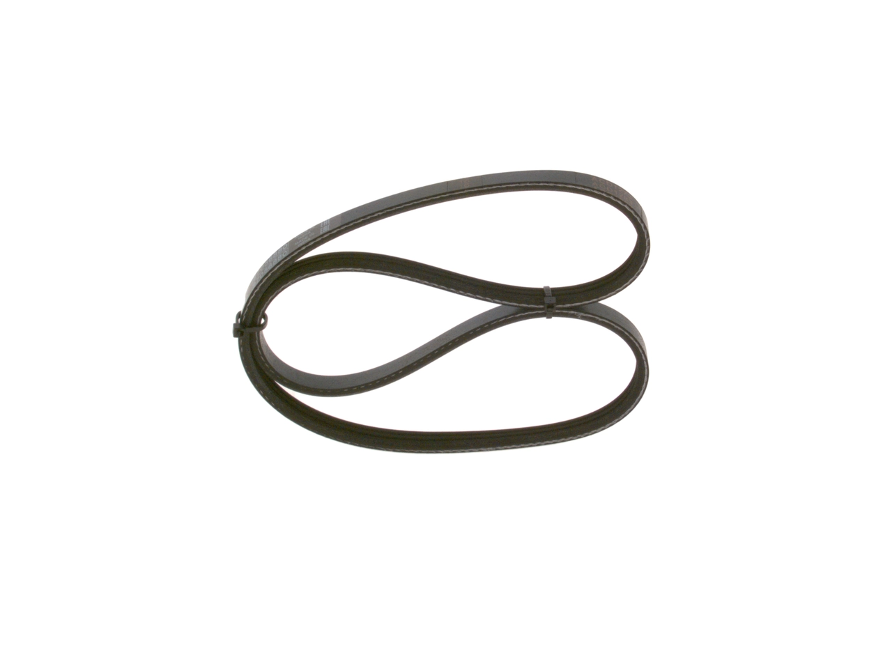 V-ribbed Belt