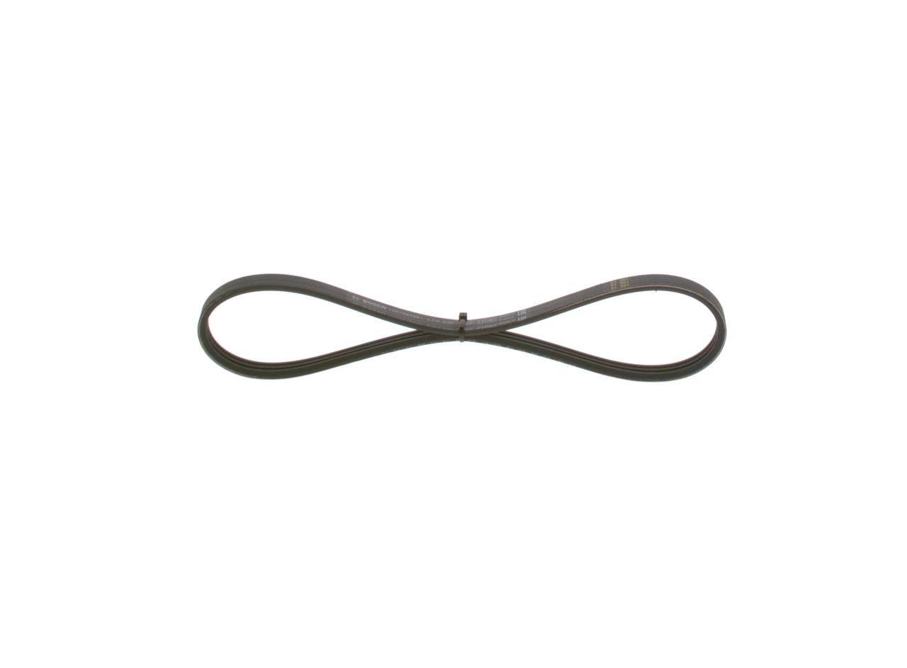 V-ribbed Belt