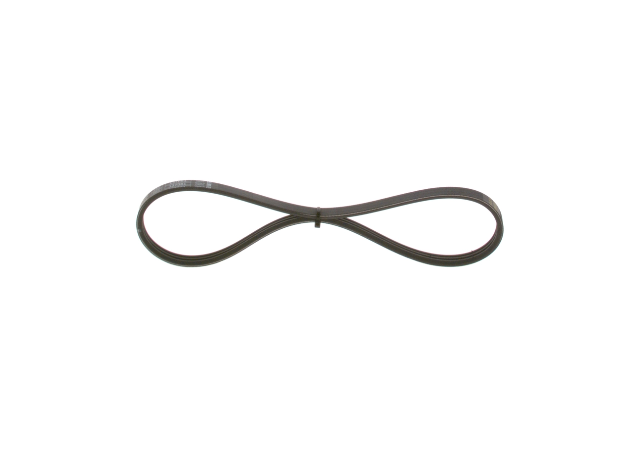 V-ribbed Belt