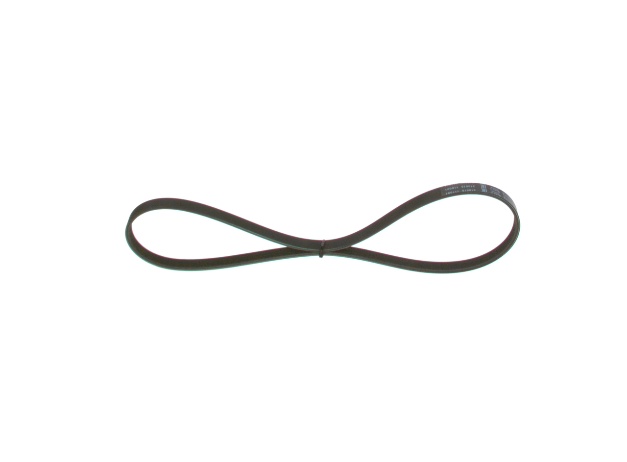 V-ribbed Belt