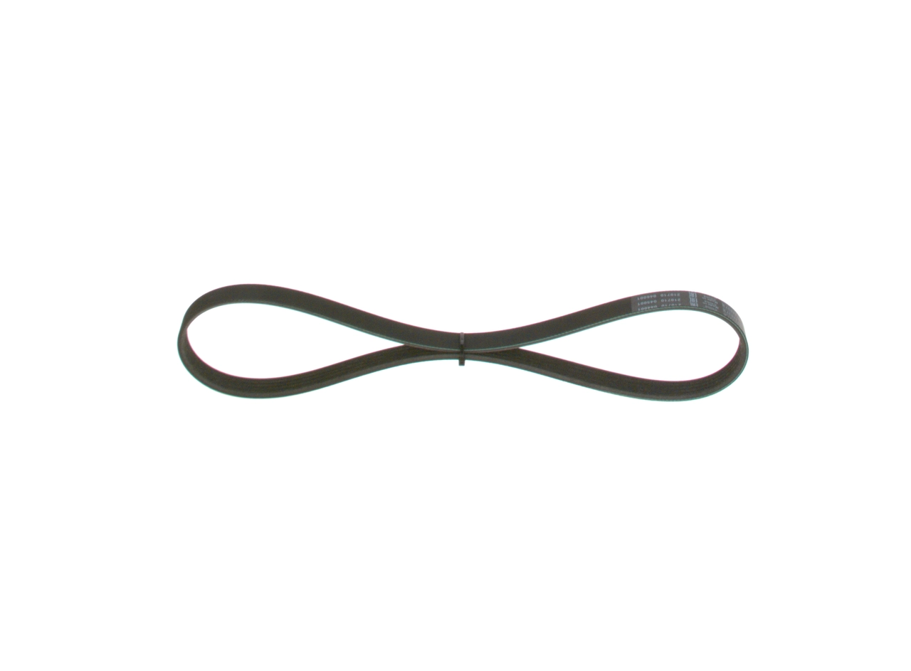 V-ribbed Belt