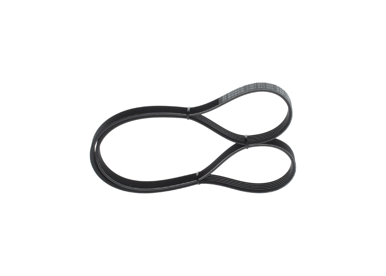 V-ribbed Belt