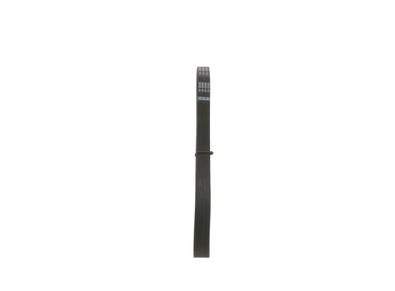 V-ribbed Belt