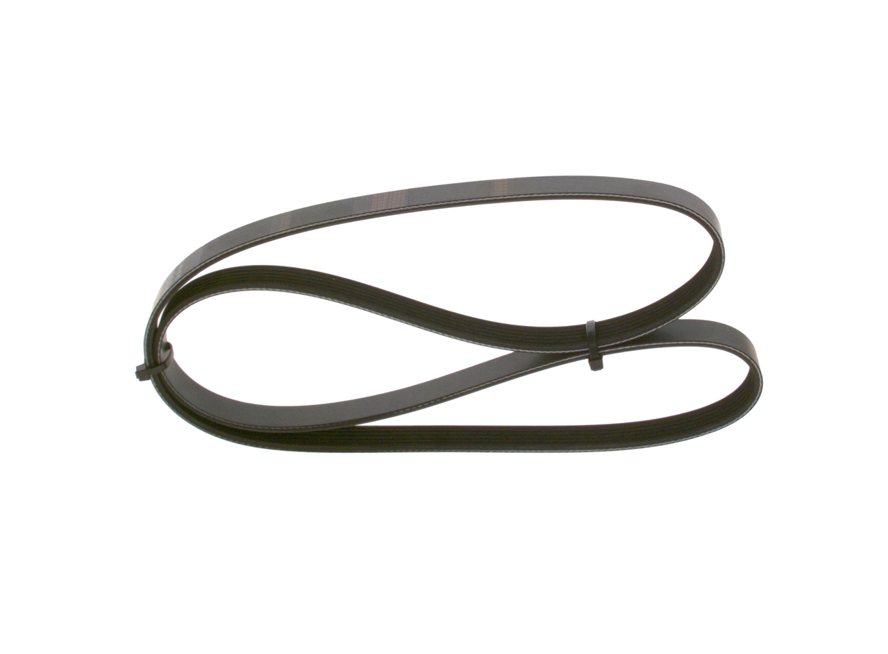 V-ribbed Belt