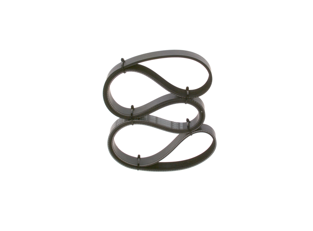 V-ribbed Belt