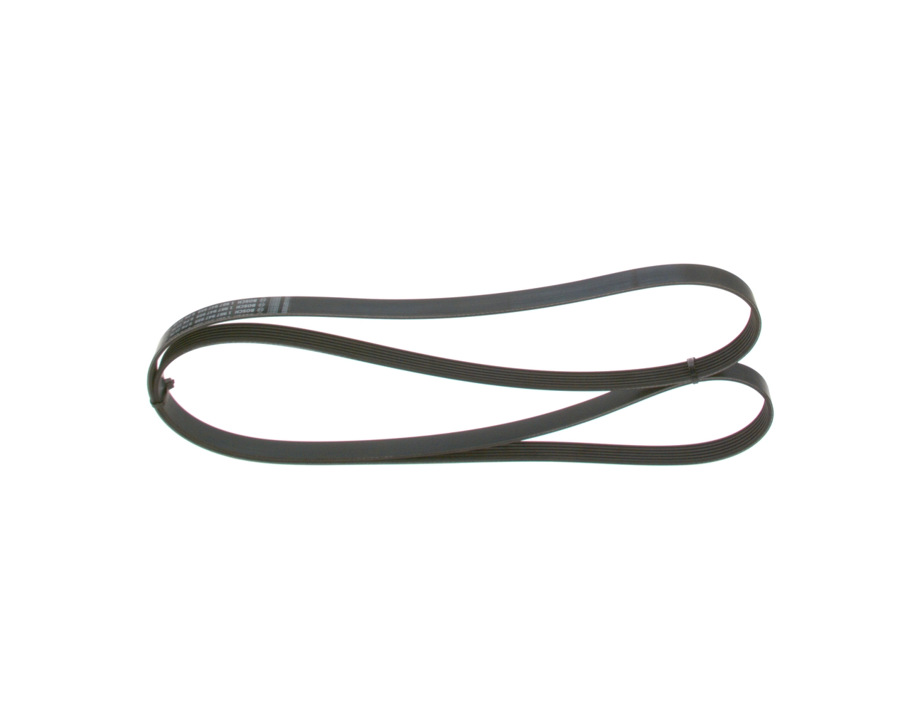 V-ribbed Belt