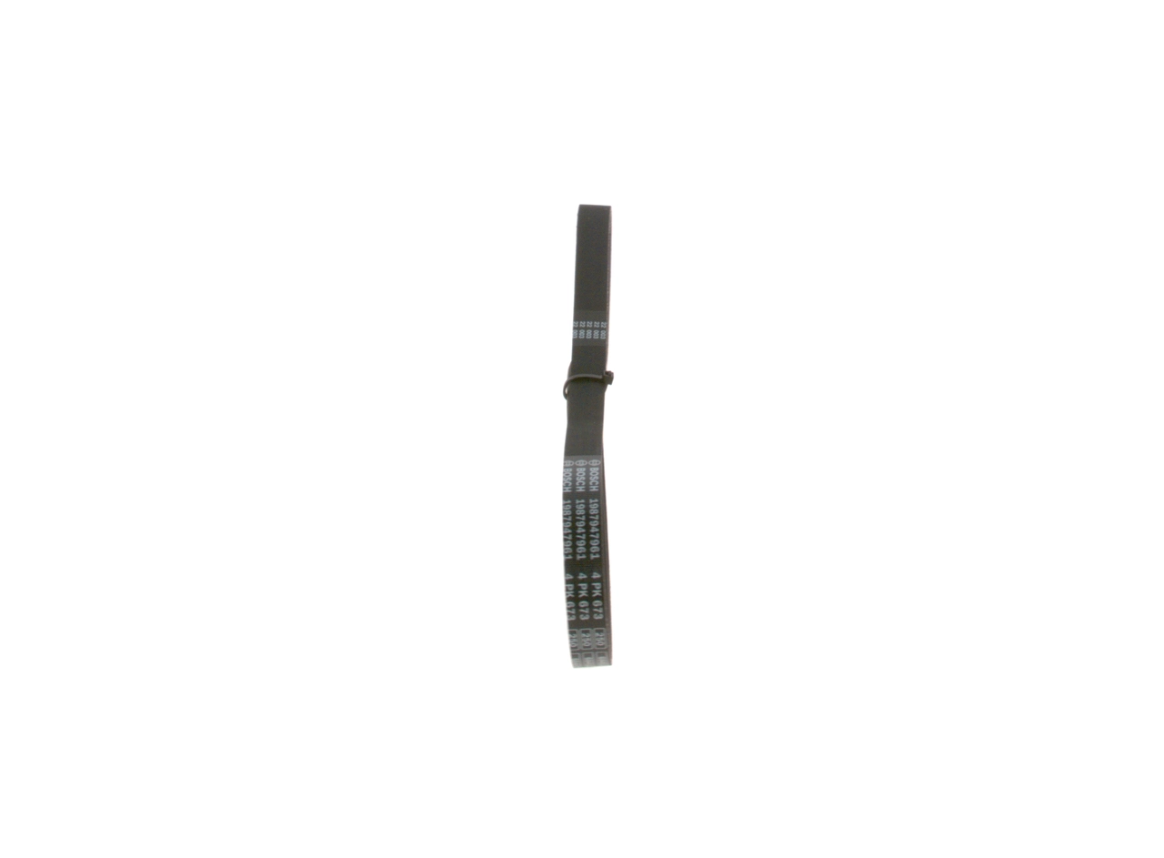 V-ribbed Belt