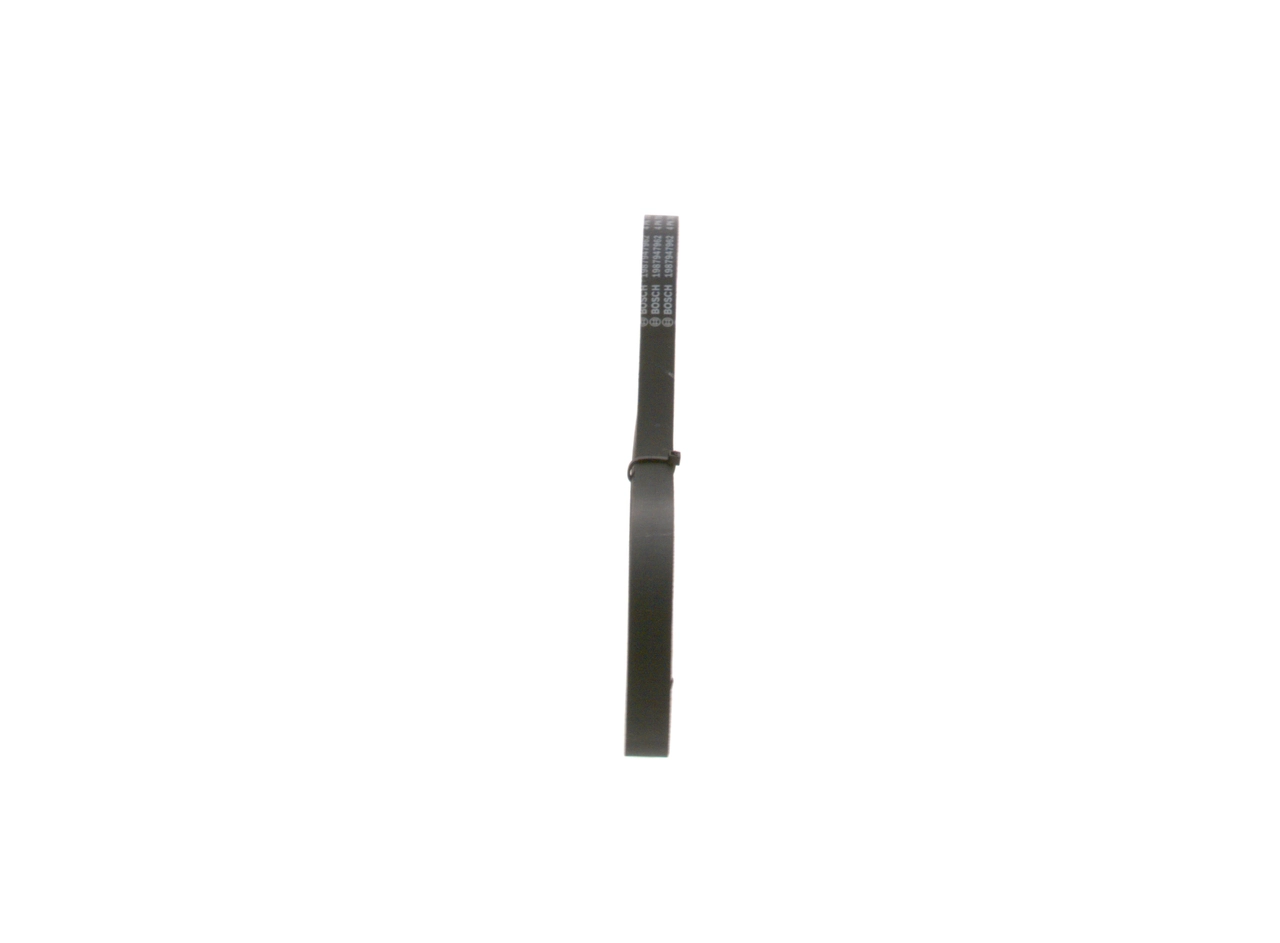 V-ribbed Belt