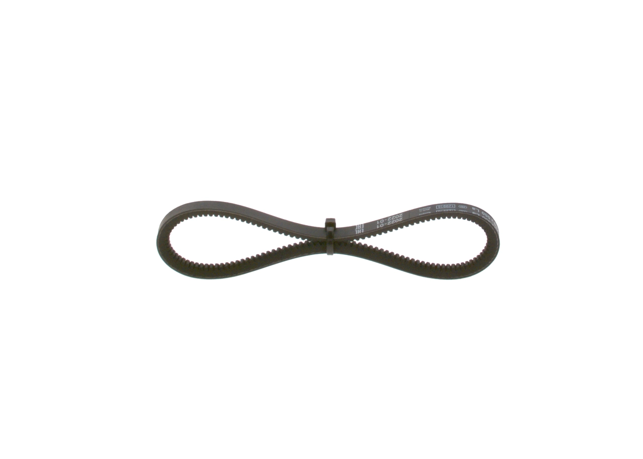 V-Belt