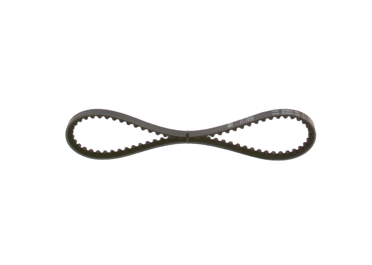 V-Belt