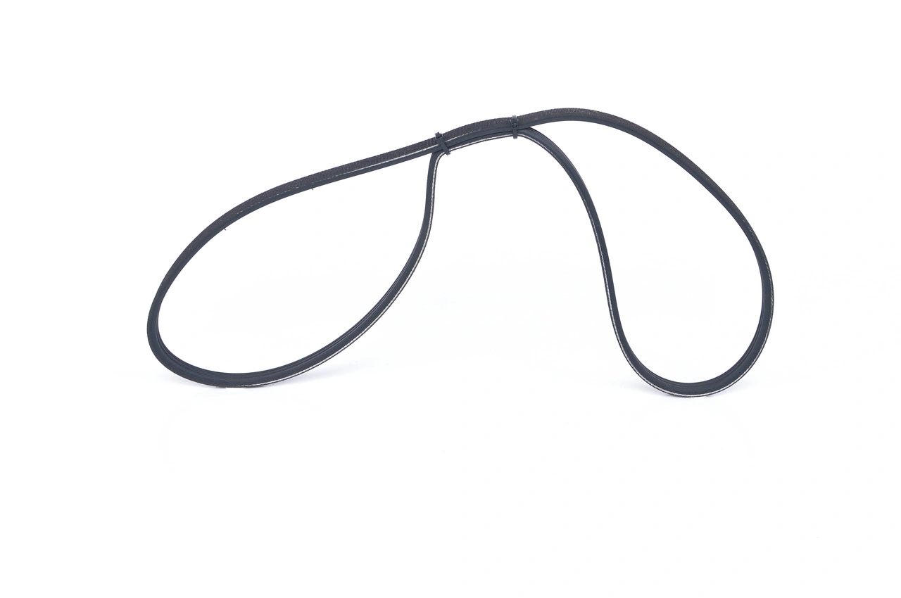 V-ribbed Belt