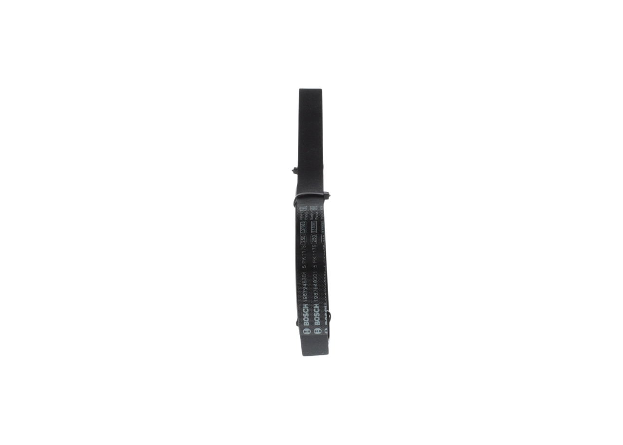 V-ribbed Belt