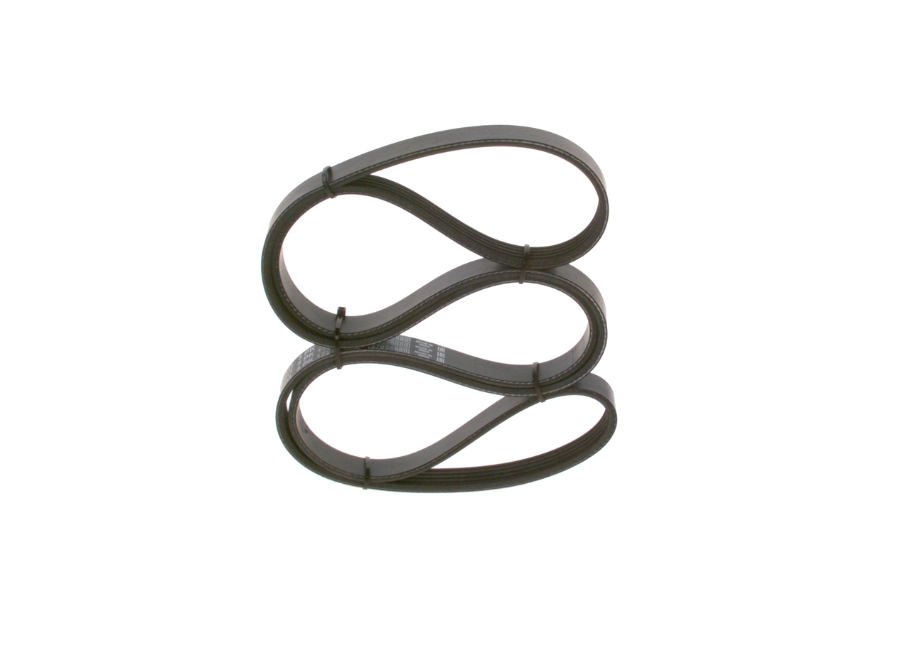 V-ribbed Belt