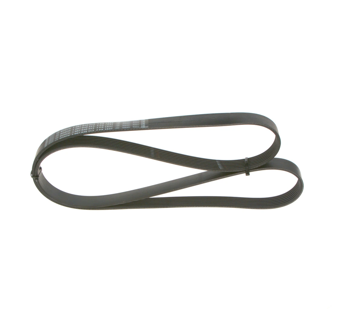 V-ribbed Belt