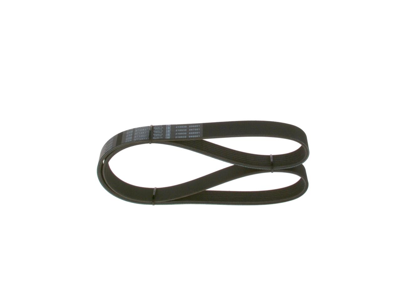 V-ribbed Belt