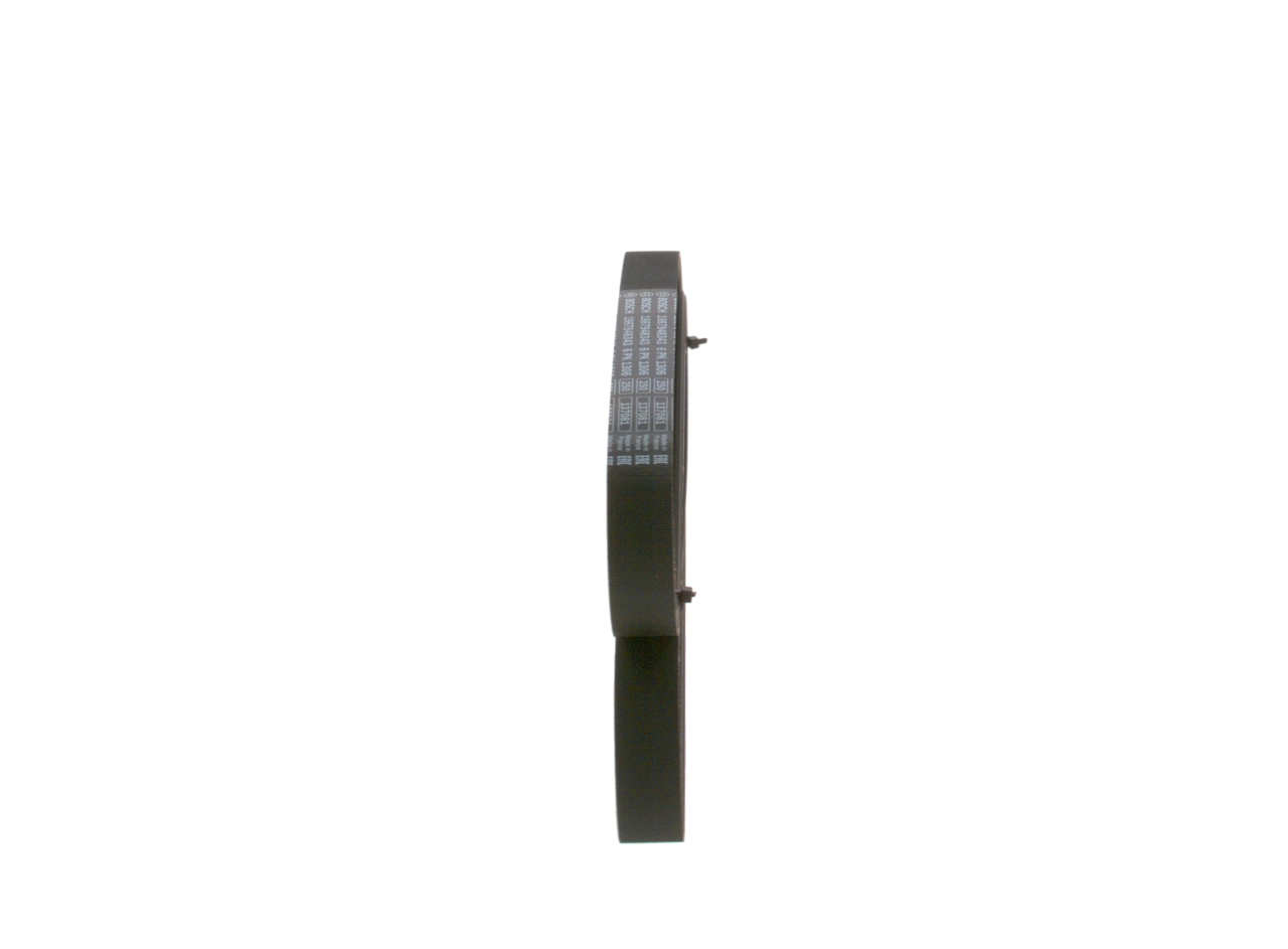 V-ribbed Belt