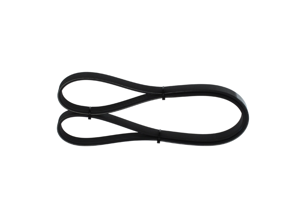 V-ribbed Belt