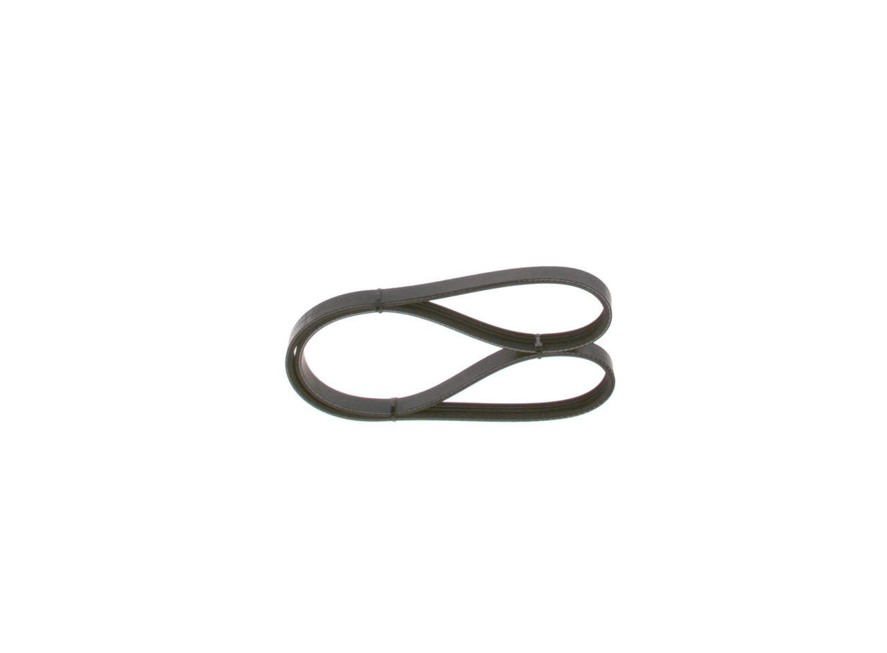 V-ribbed Belt
