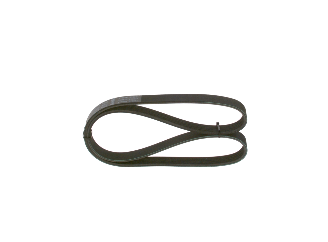 V-ribbed Belt