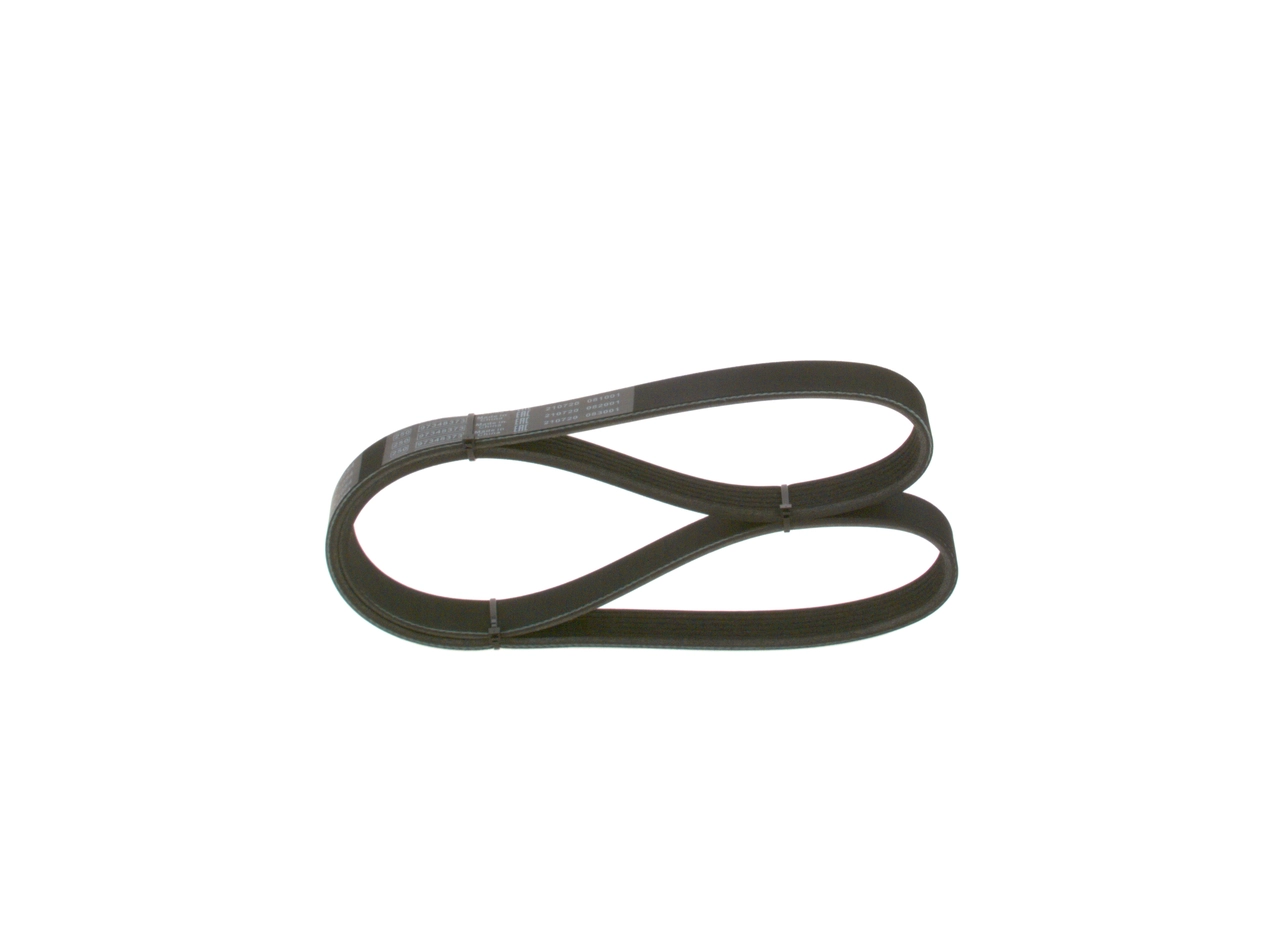 V-ribbed Belt