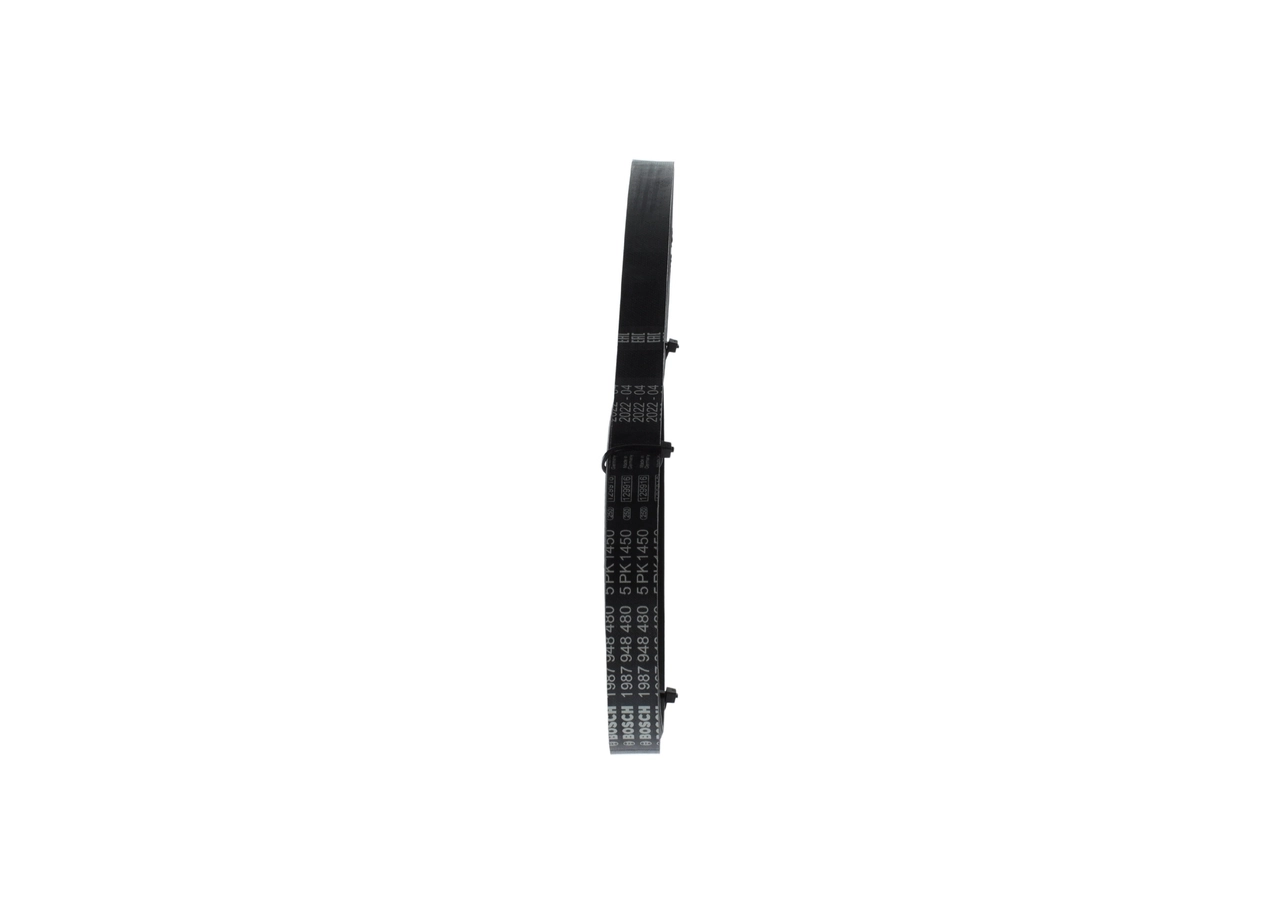 V-ribbed Belt