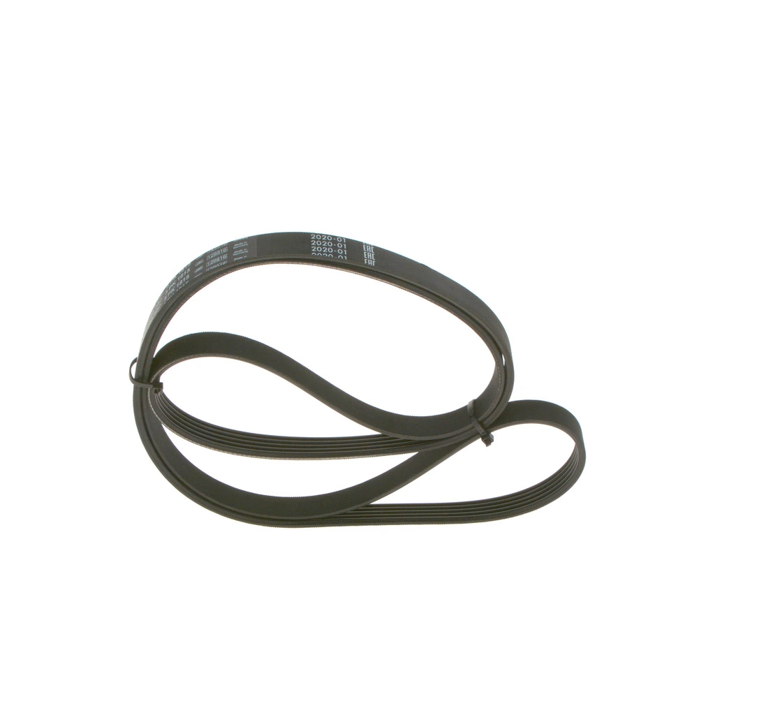 V-ribbed Belt