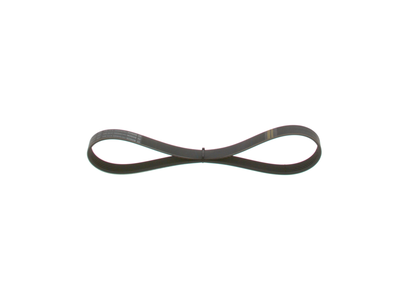 V-ribbed Belt