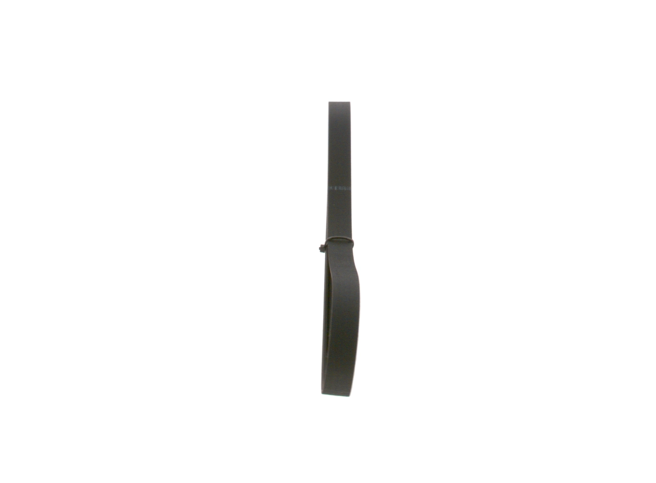 V-ribbed Belt