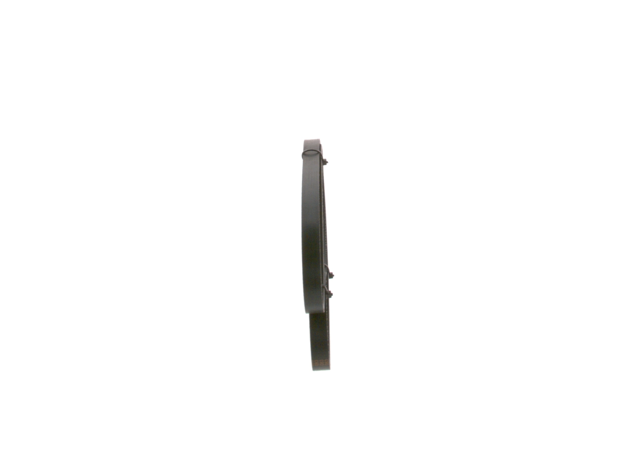 V-ribbed Belt