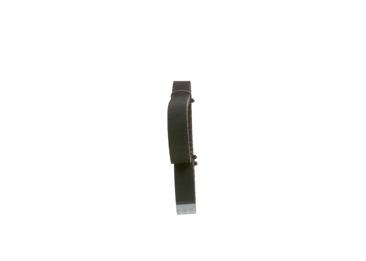 Timing Belt