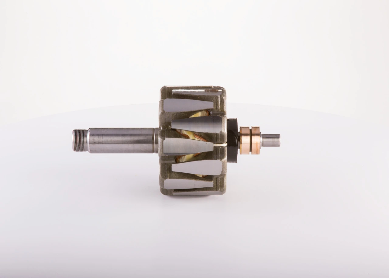 Rotor, alternator