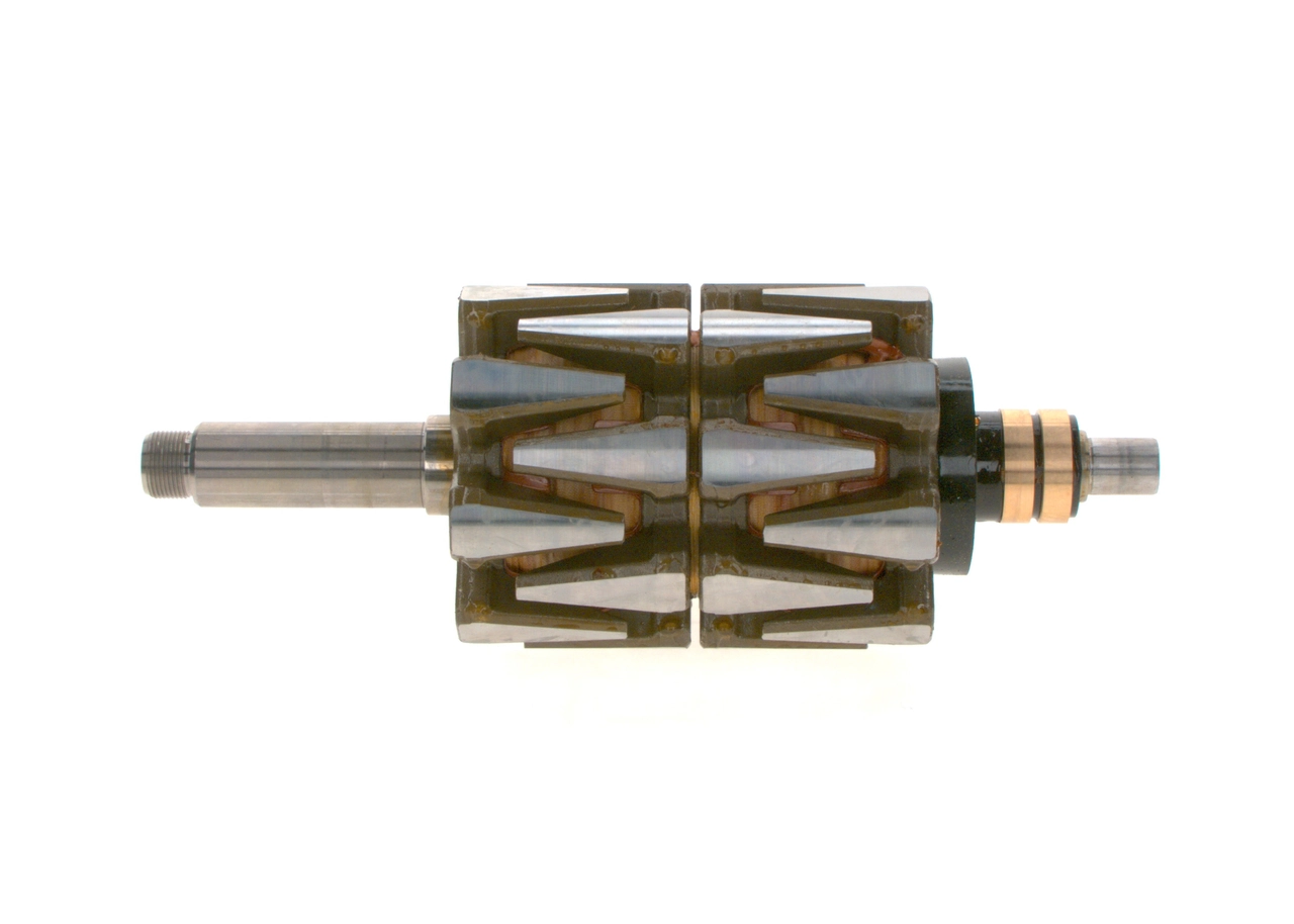 Rotor, alternator