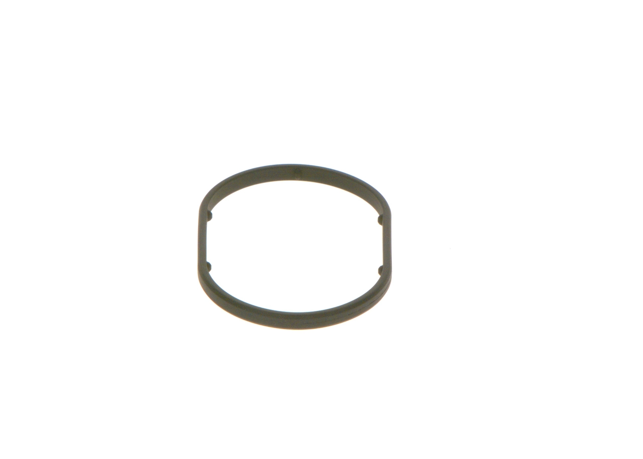 Seal Ring