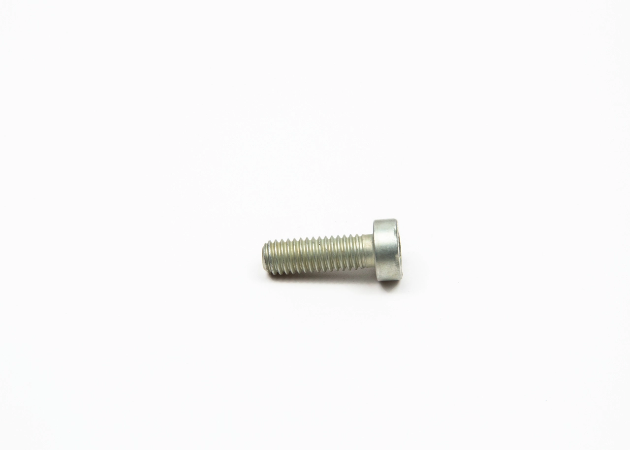 Screw