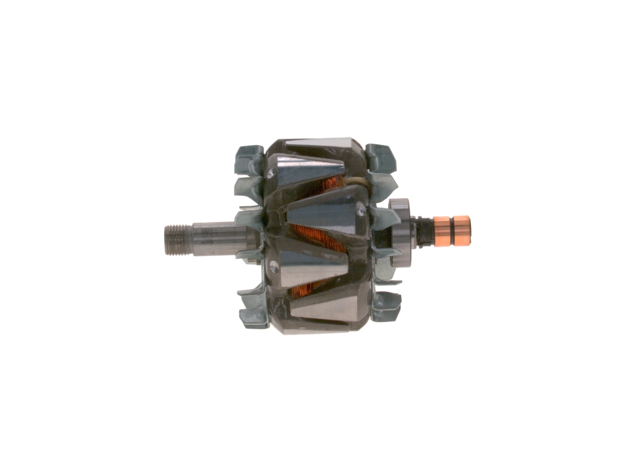Rotor, alternator