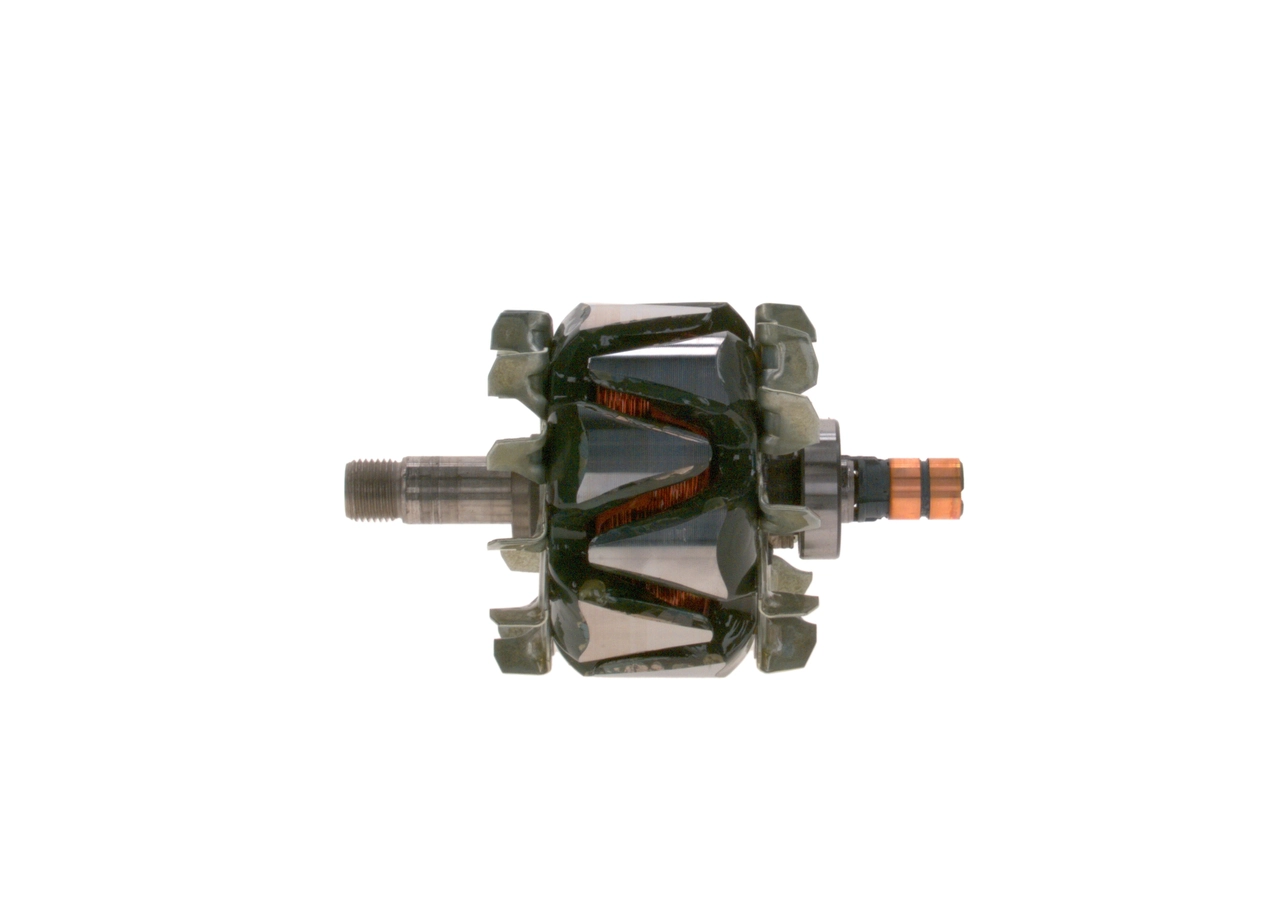 Rotor, alternator