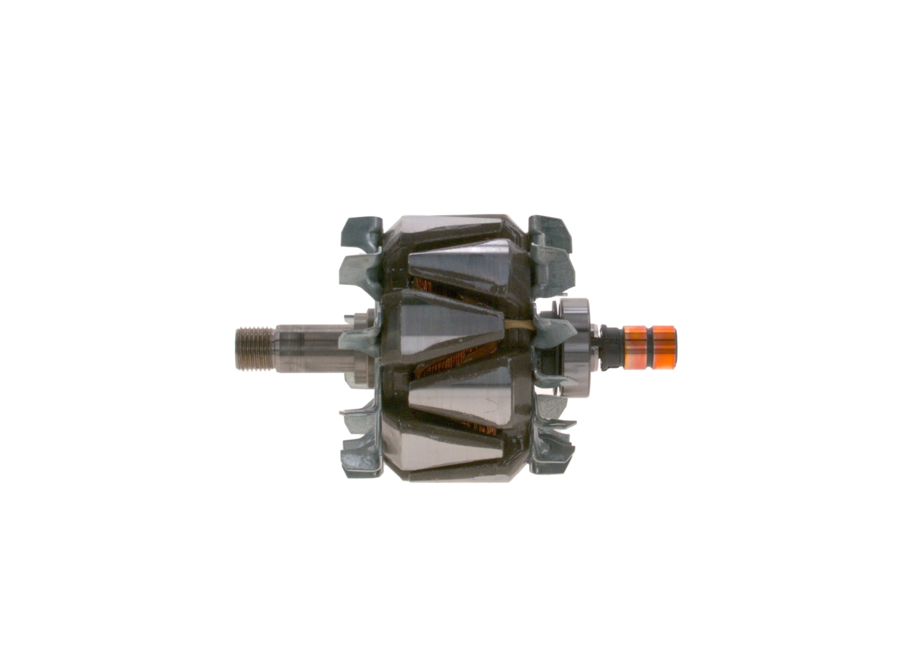 Rotor, alternator
